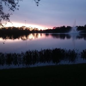 Meet your Posher, Elvis